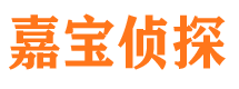 明山市侦探公司